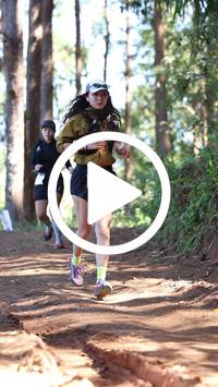 BIB:  <button type="button" onclick="openModal(26568615)" class="btn btn-primary btn-sm float-right" data-toggle="modal" data-target=".modal-high-quality">
                <i class="fa fa-download"></i> Download
                </button>